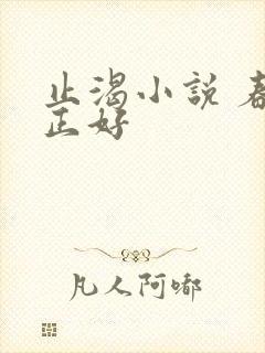 止渴小说 春光正好