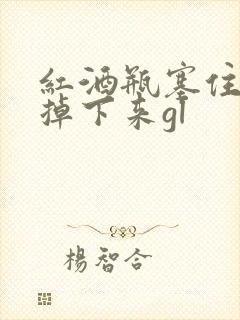 红酒瓶塞住不准掉下来gl