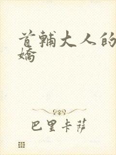 首辅大人的掌心娇