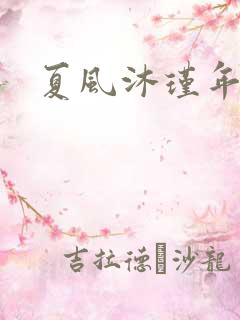 夏风沐瑾年