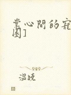 掌心间的宠[校园]