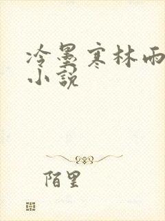 冷墨寒林雨彤的小说