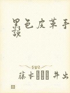 黑色皮革手册小说