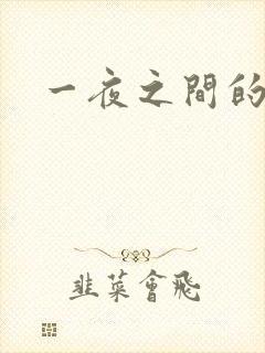 一夜之间的天才