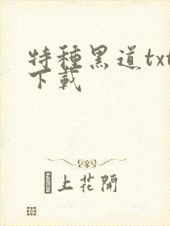 特种黑道txt下载