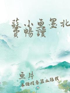 苏小鱼墨北枭免费畅读