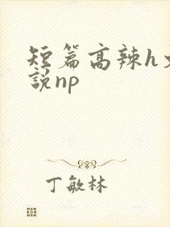 短篇高辣h文小说np