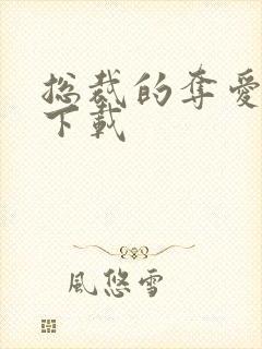 总裁的夺爱游戏下载