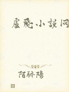 卢飞小说网