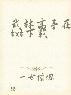 武林高手在校园txt下载