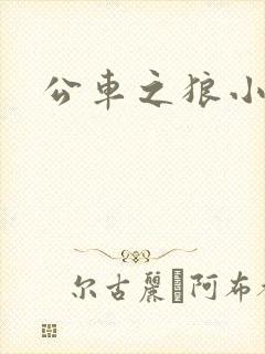 公车之狼小说