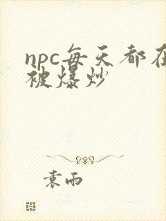 npc每天都在被爆炒