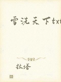 雪洗天下txt