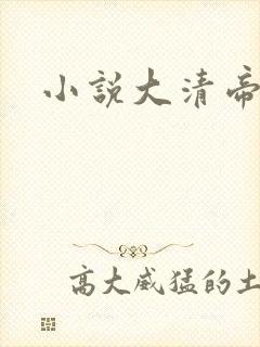 小说大清帝国