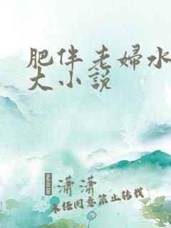 肥伴老妇水多乳大小说