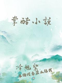 掌酷小说