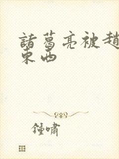 诸葛亮被赵云塞东西