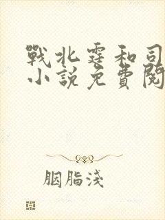 战北霆和司情的小说免费阅读