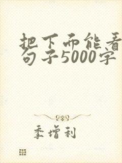 把下面能看湿的句子5000字