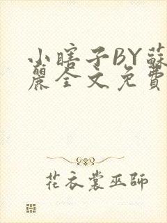 小瞎子BY苏玛丽全文免费笔趣阁