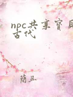 npc共享宝贝古代