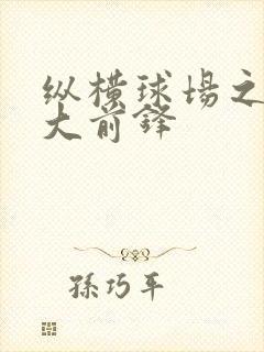 纵横球场之暴力大前锋