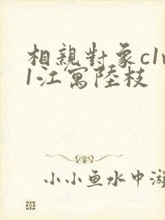 相亲对象c1v1江寓陆枝