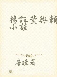 杨钰莹与赖昌星小说