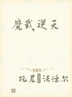 魔武逆天
