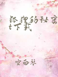 狐狸的秘密txt下载