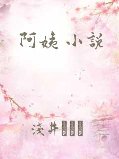 阿姨 小说