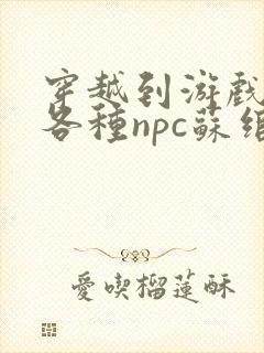 穿越到游戏里和各种npc苏绾