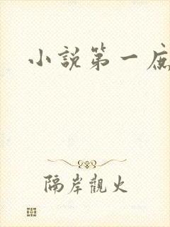 小说第一庶女