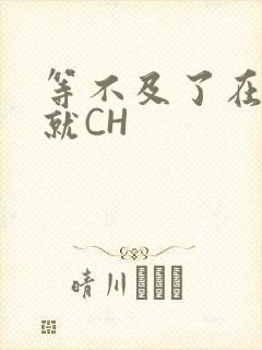 等不及了在车里就CH