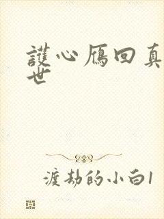 护心雁回真实身世