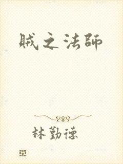 贼之法师