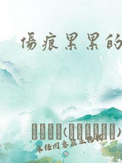 伤痕累累的勋章