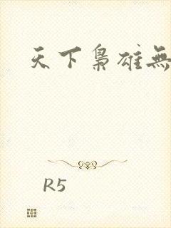 天下枭雄无弹窗