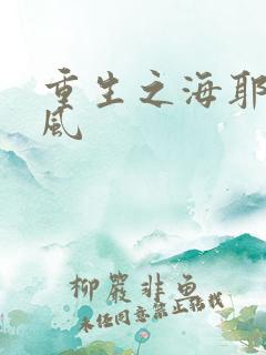重生之海耶斯旋风