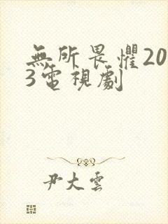 无所畏惧2023电视剧