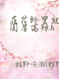 在花轿里就开始圆房高辣h