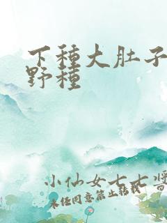 下种大肚子怀孕野种