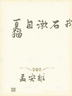 夏目漱石 我是猫