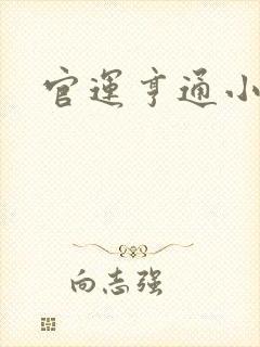 官运亨通小说