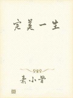 完美一生