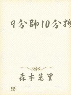 9分帅10分拽