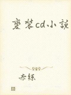 变装cd小说