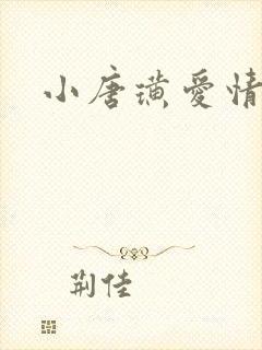 小唐璜爱情历史