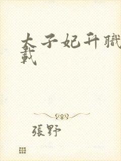 太子妃升职记下载