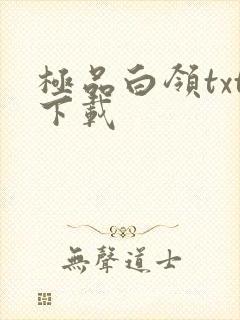 极品白领txt下载